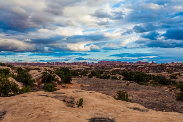 Canyonlands National Park, courtesy NPS||||