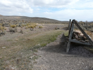Riparian meadow grazed to point no habitat for sage grouse remains.||||