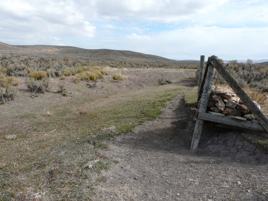 Riparian meadow grazed to point no habitat for sage grouse remains.