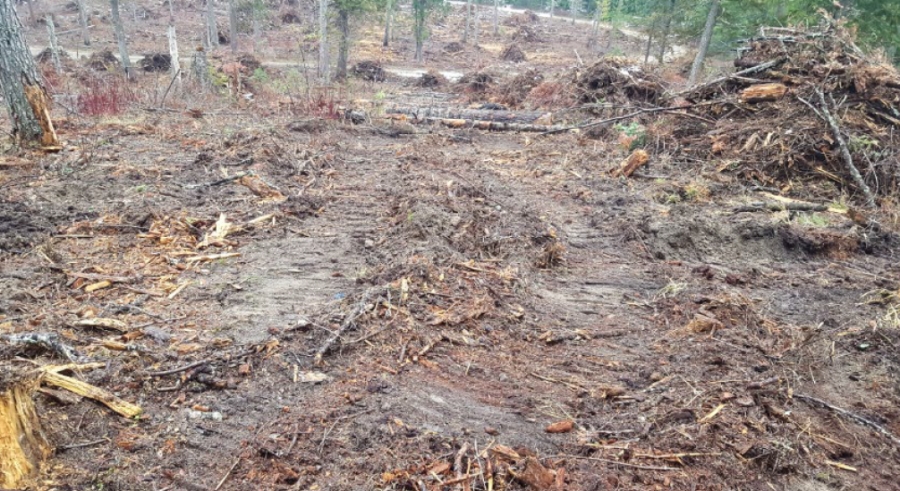 From a treatment in another Forest showing the forest floor, piles for burning and soil displacement. Is this what we will see in these treated areas on the North Slope?
